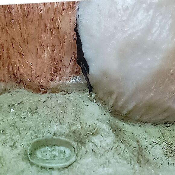 Bunny Rabbit Figure VCH England Vintage Scratching Ear Handpainted Resin Carrot. - Picture 3 of 16